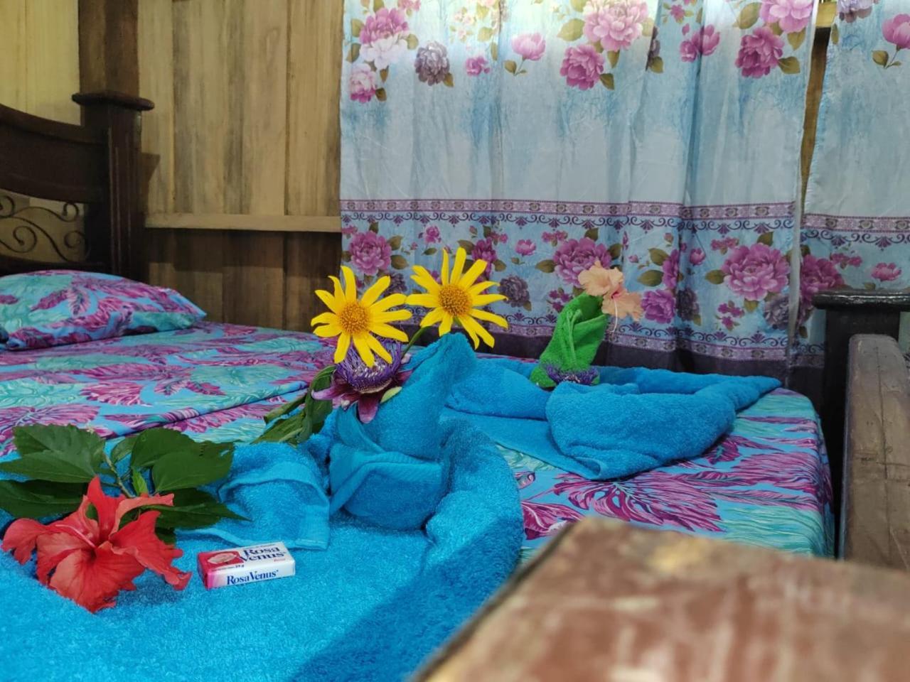 Los Paniquines Ecolodge Дрейк Екстер'єр фото