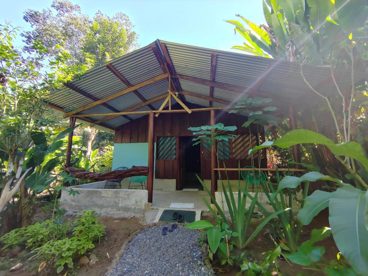 Los Paniquines Ecolodge Дрейк Екстер'єр фото