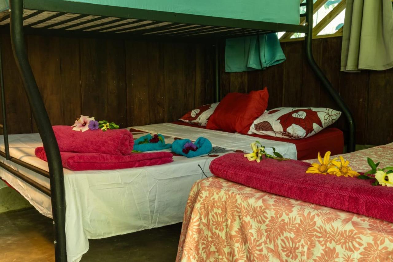 Los Paniquines Ecolodge Дрейк Екстер'єр фото
