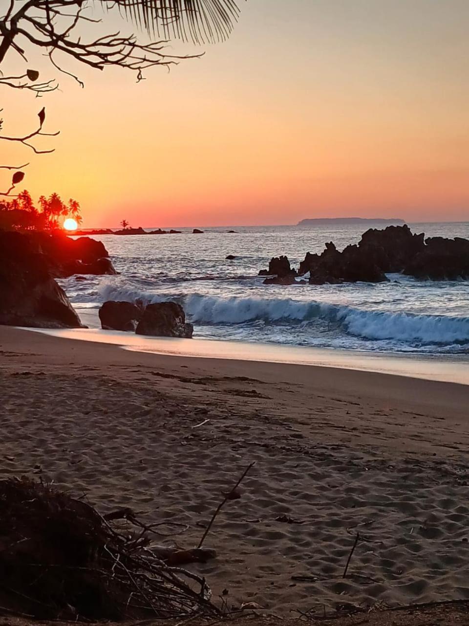 Los Paniquines Ecolodge Дрейк Екстер'єр фото